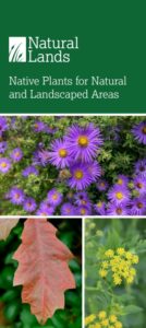 Cover image of native plant ID cards