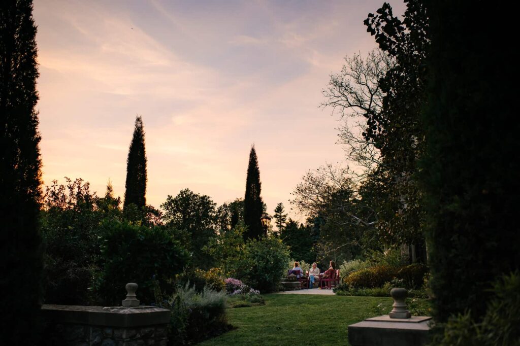 The silhouette of a garden at dusk.