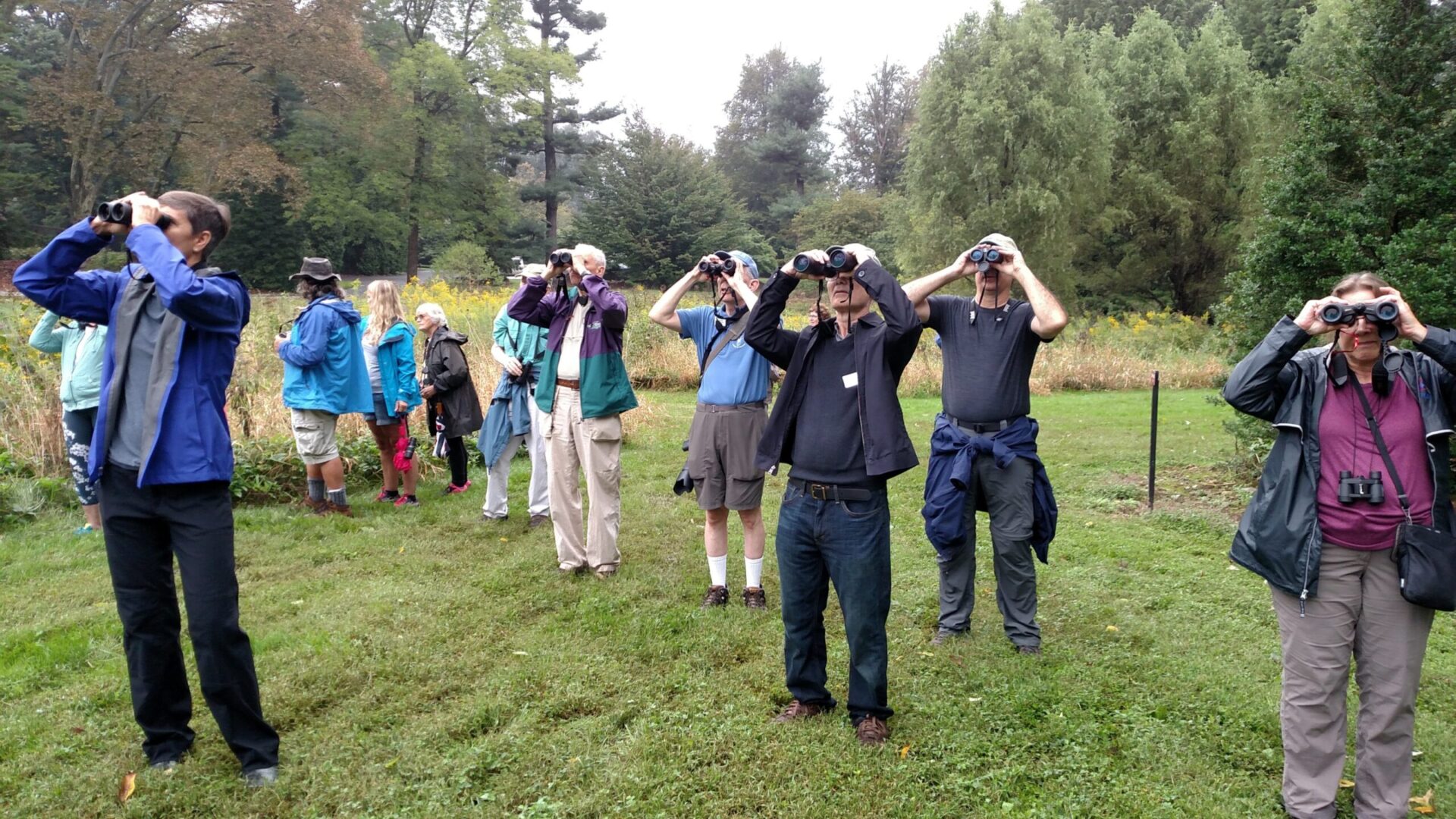 A group of people look upwards using binoculars.