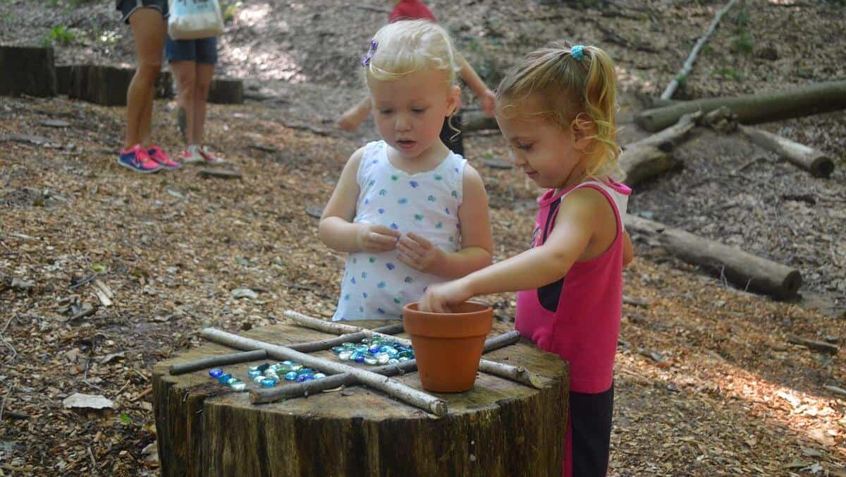 two young girls play with colored stones on a tree stump in the middle of the woods.||