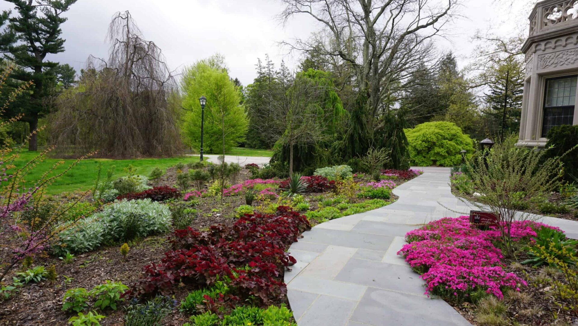 A row of freshly planted blooming shrubs along a stone path.