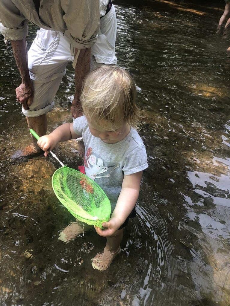 a little girl looks at what she has caught in a lime-green net while standing in a creek up to her ankles.