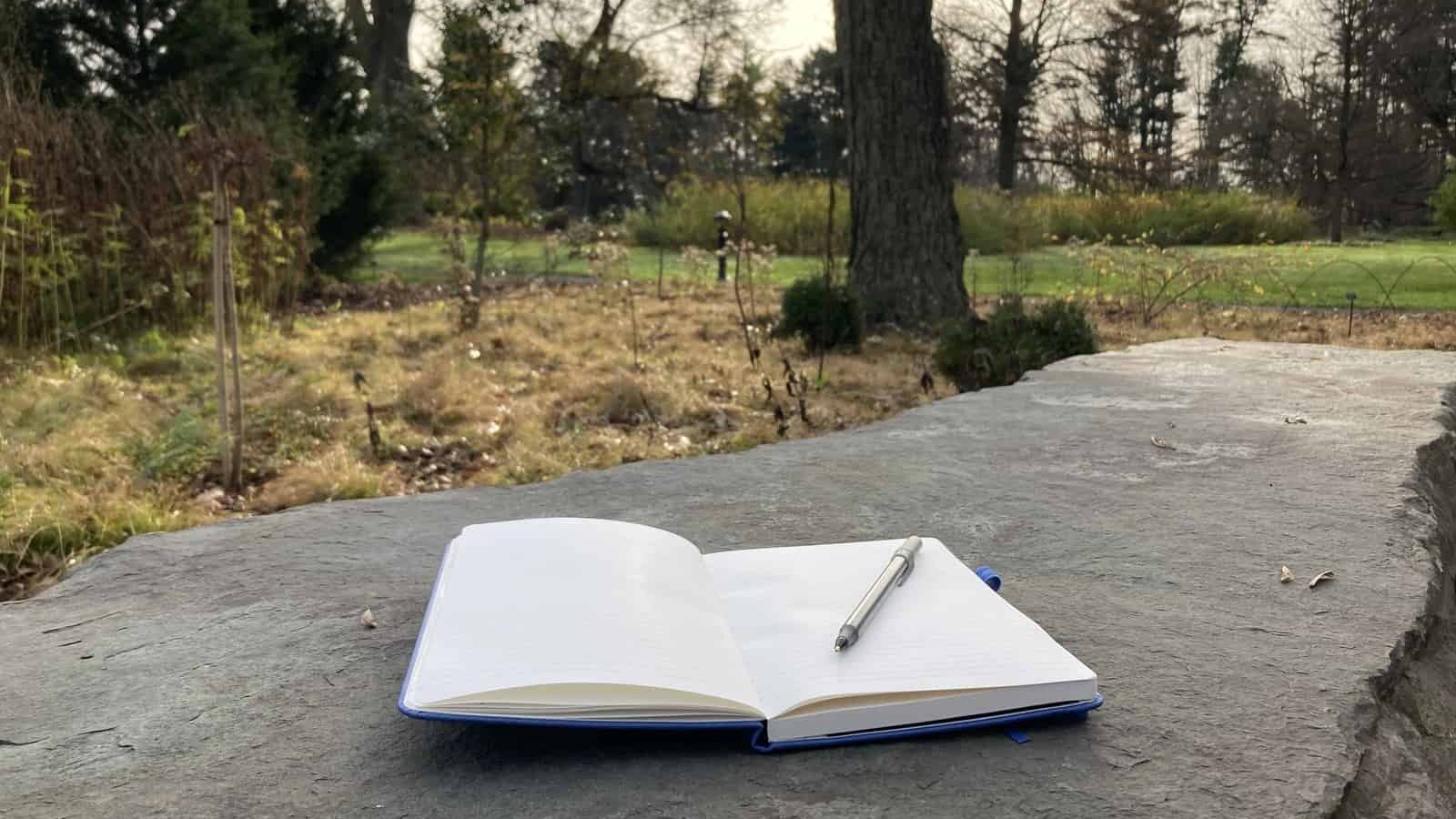 A pen rests on an open notebook resting on a stone wall that looks out into an autumnal garden, a tall tree in the foreground.