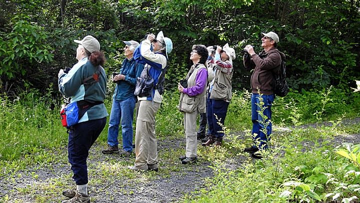 A group of seven adults on a dirt trail in the woods with binoculars looking up at the sky