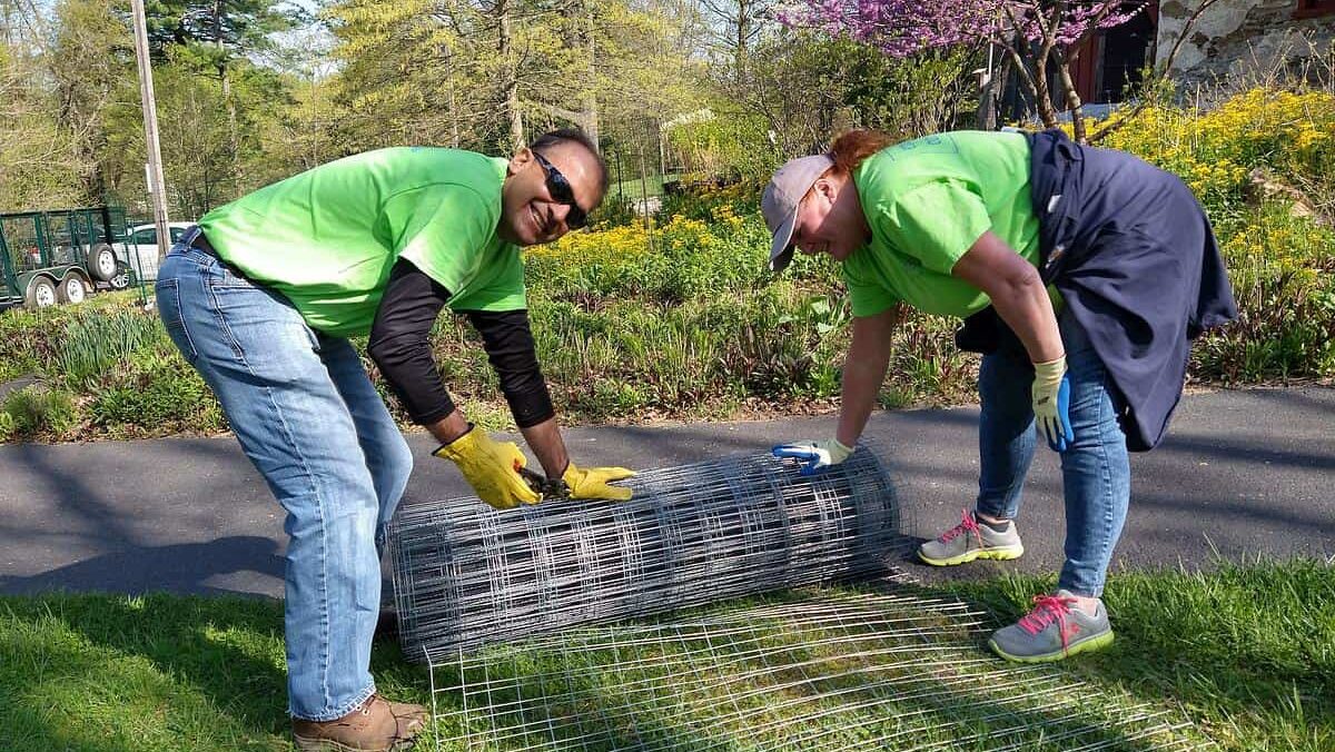 two volunteers in bright yellow shirts help with planting