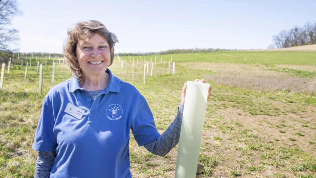 A volunteer in a blue Force of Nature shirt smiles at the camera, holding a tree tube in a large open space.