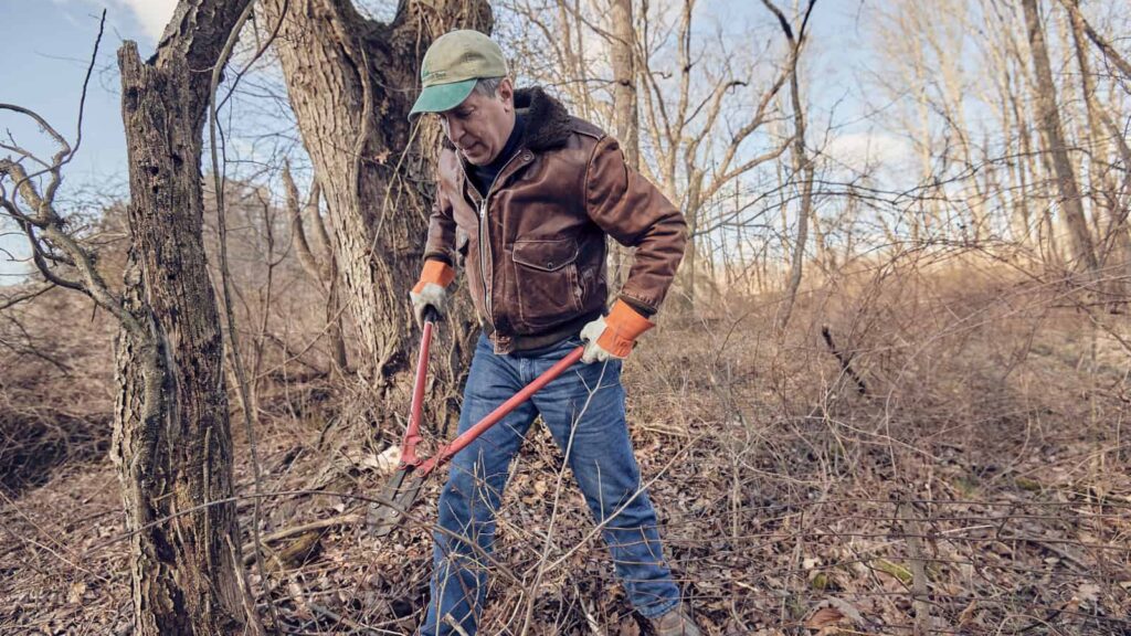 A volunteer holding long-handled loppers and removing invasive plants.