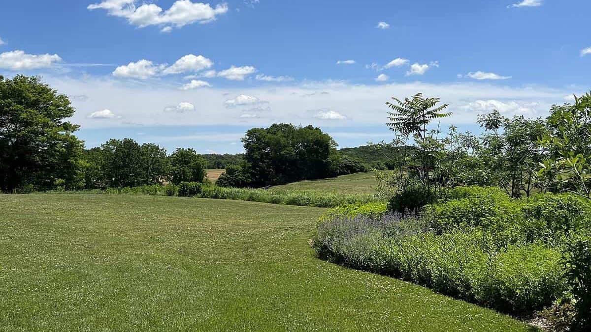 a bright sunny day looking out on a green open field and blue skies.