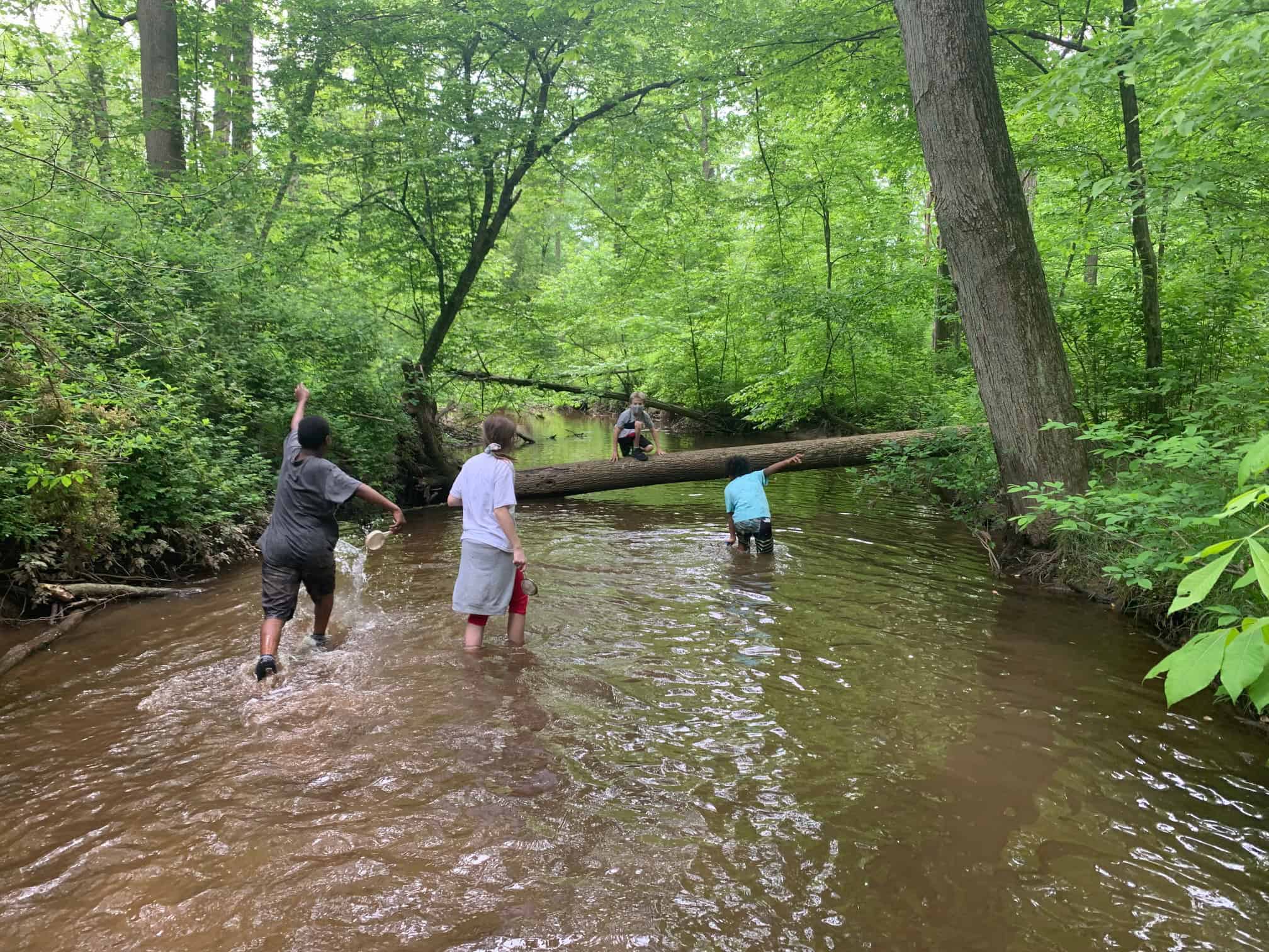 Kids playing in the creek.