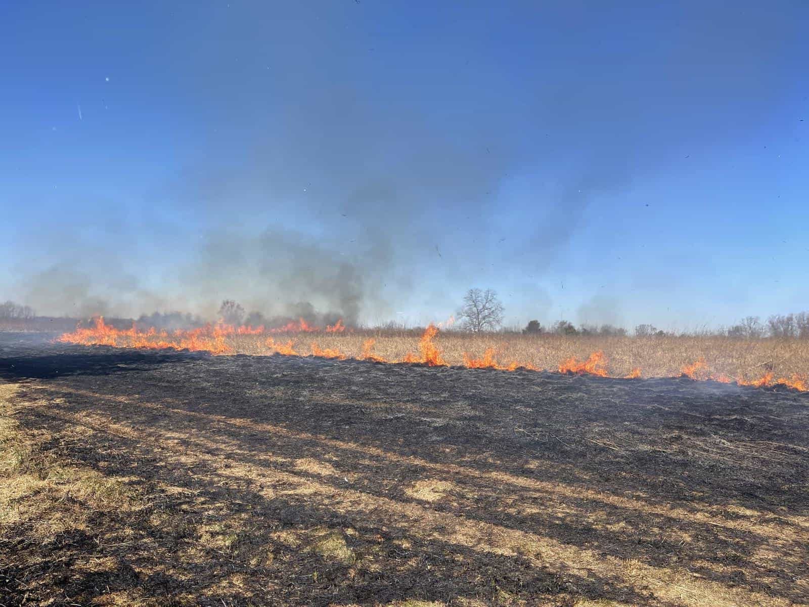 Prescribed fire burns the meadow at Gwynedd Preserve
