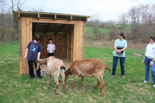 four people outside with 2 brown goats next to their wooden shed