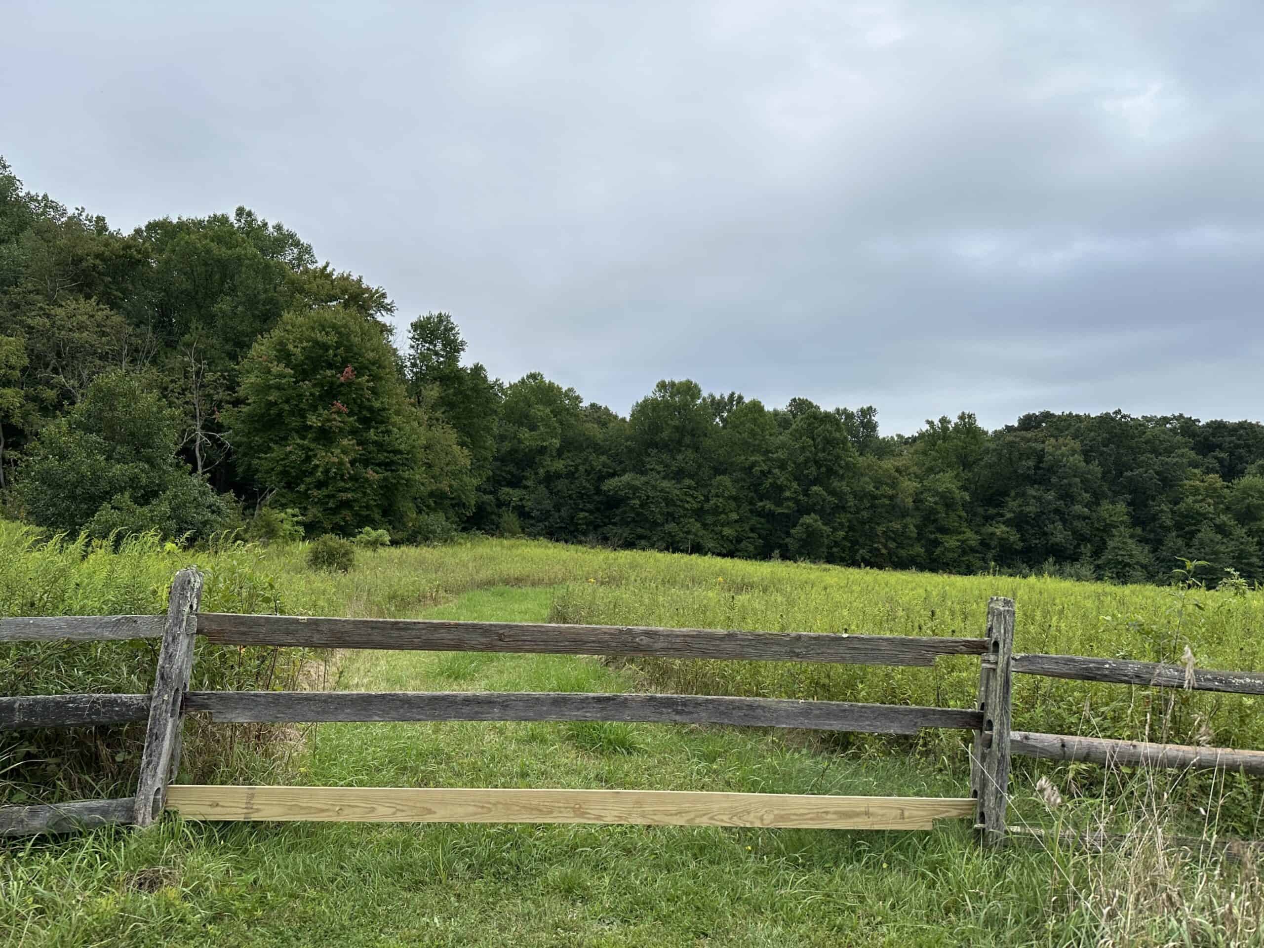 Split rail fence in front of a meadow and woods.