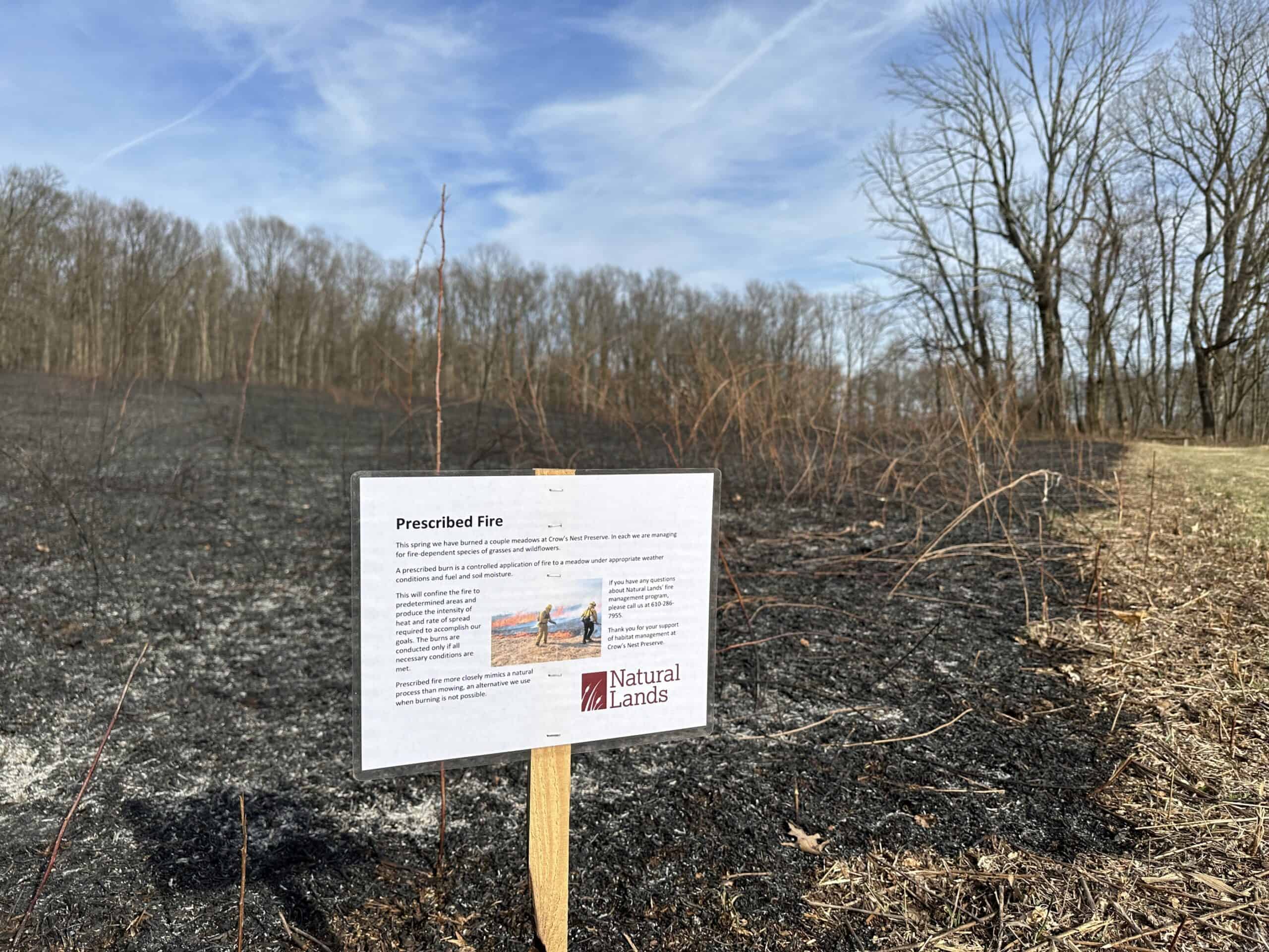 Interpretive sign about prescribed fire in front of and area where there was a recent prescribed fire at Crow's Nest Preserve