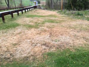 A meadow with mostly brown grass.