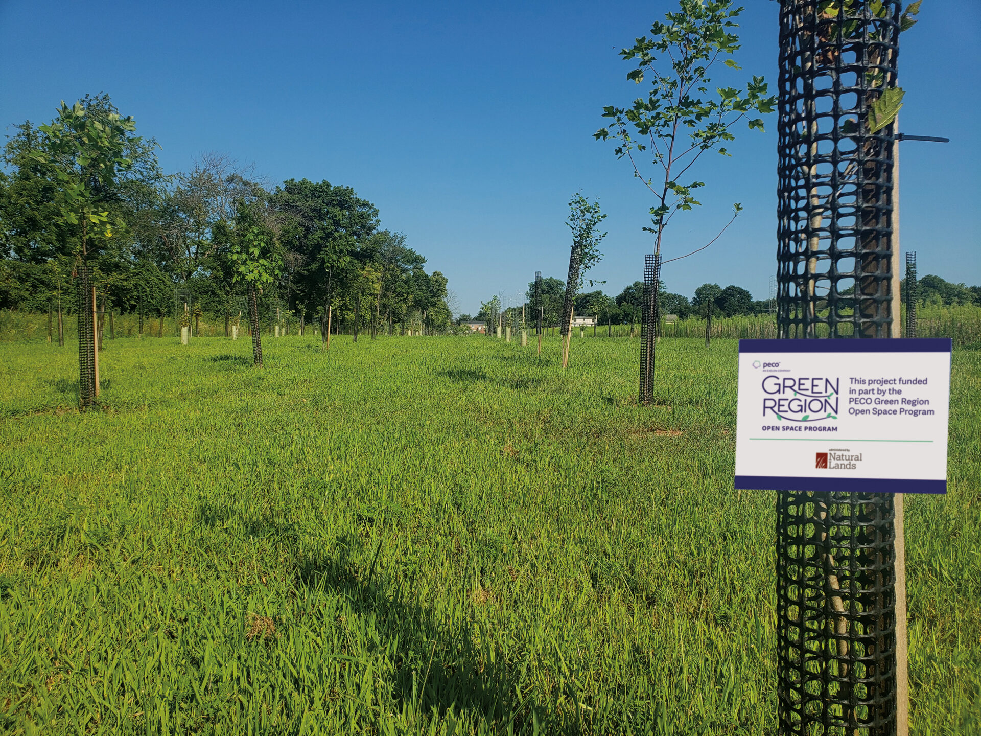 PECO Green Region | Natural Lands