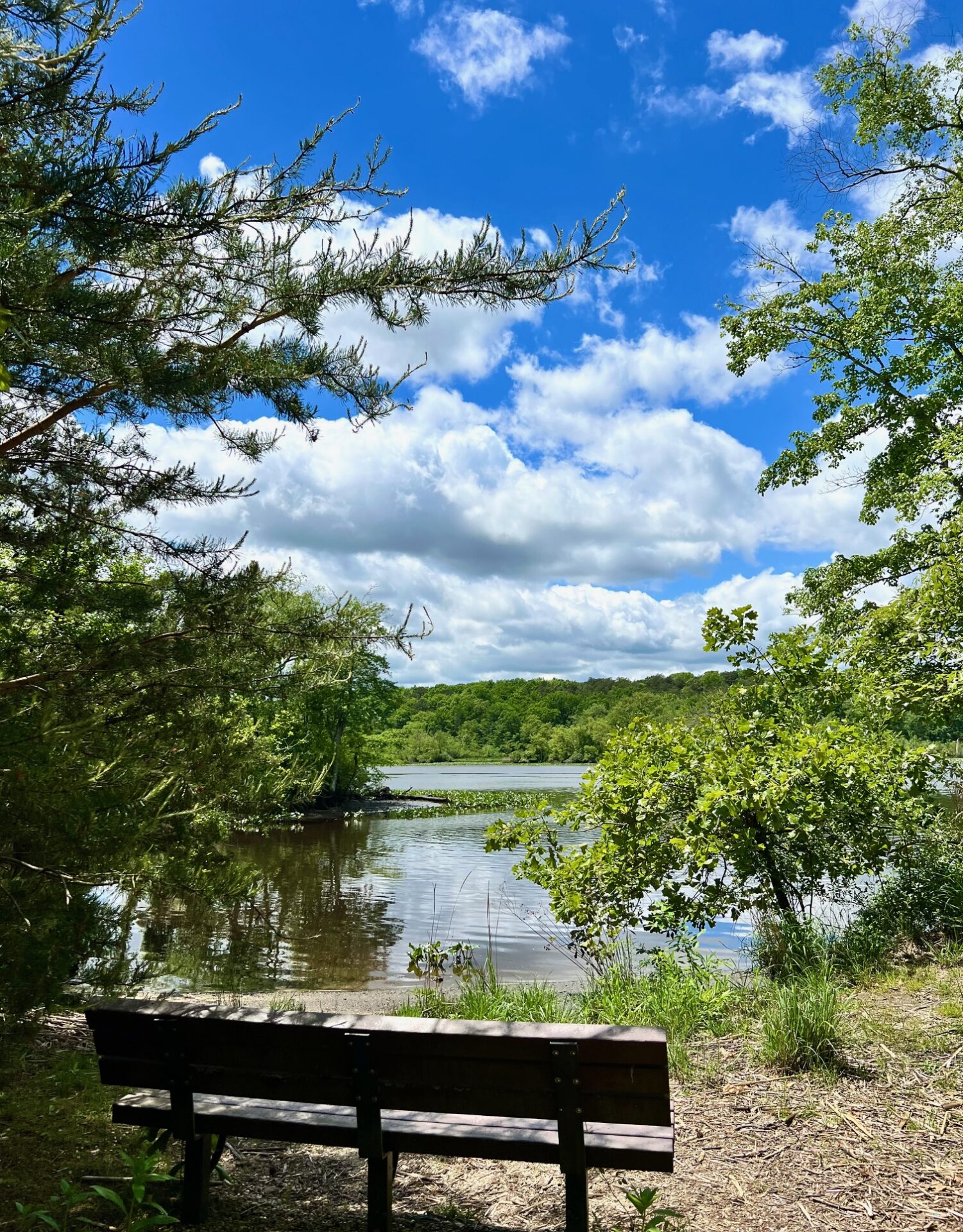 River Overlook in Peek Preserve