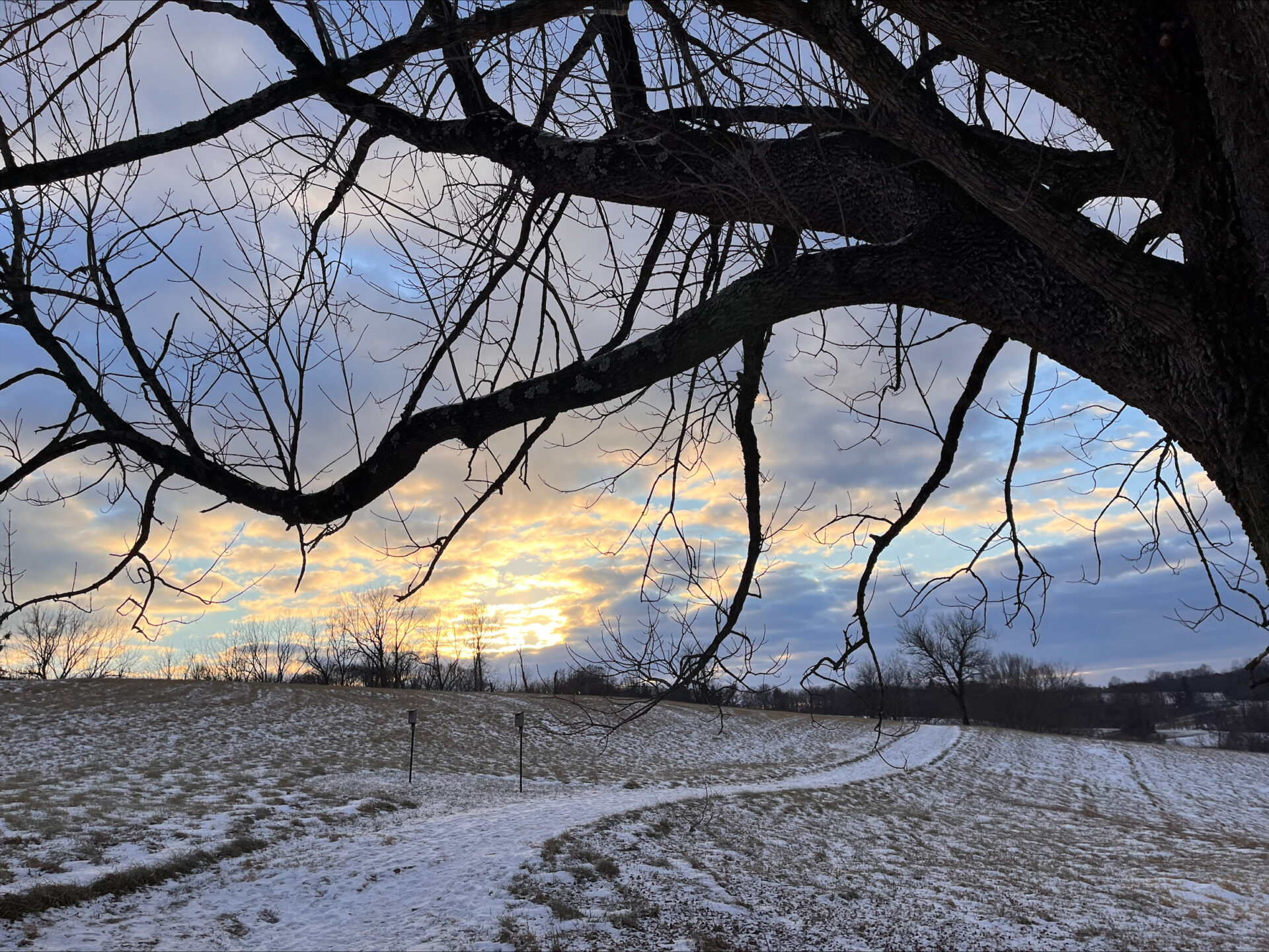 silhouette of tree branches in foreground with a lightly snow-covered trail and sunset - A snow-covered trail at sunset at Stroud Preserve in winter. 