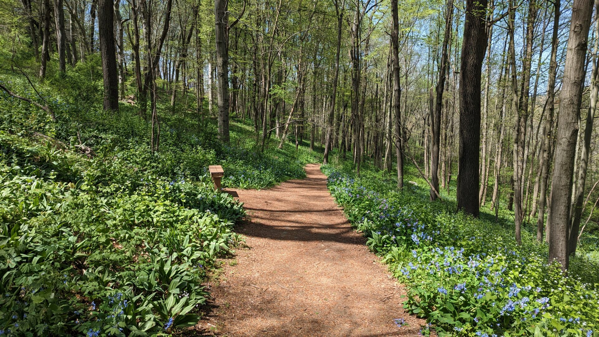 Stroud Preserve