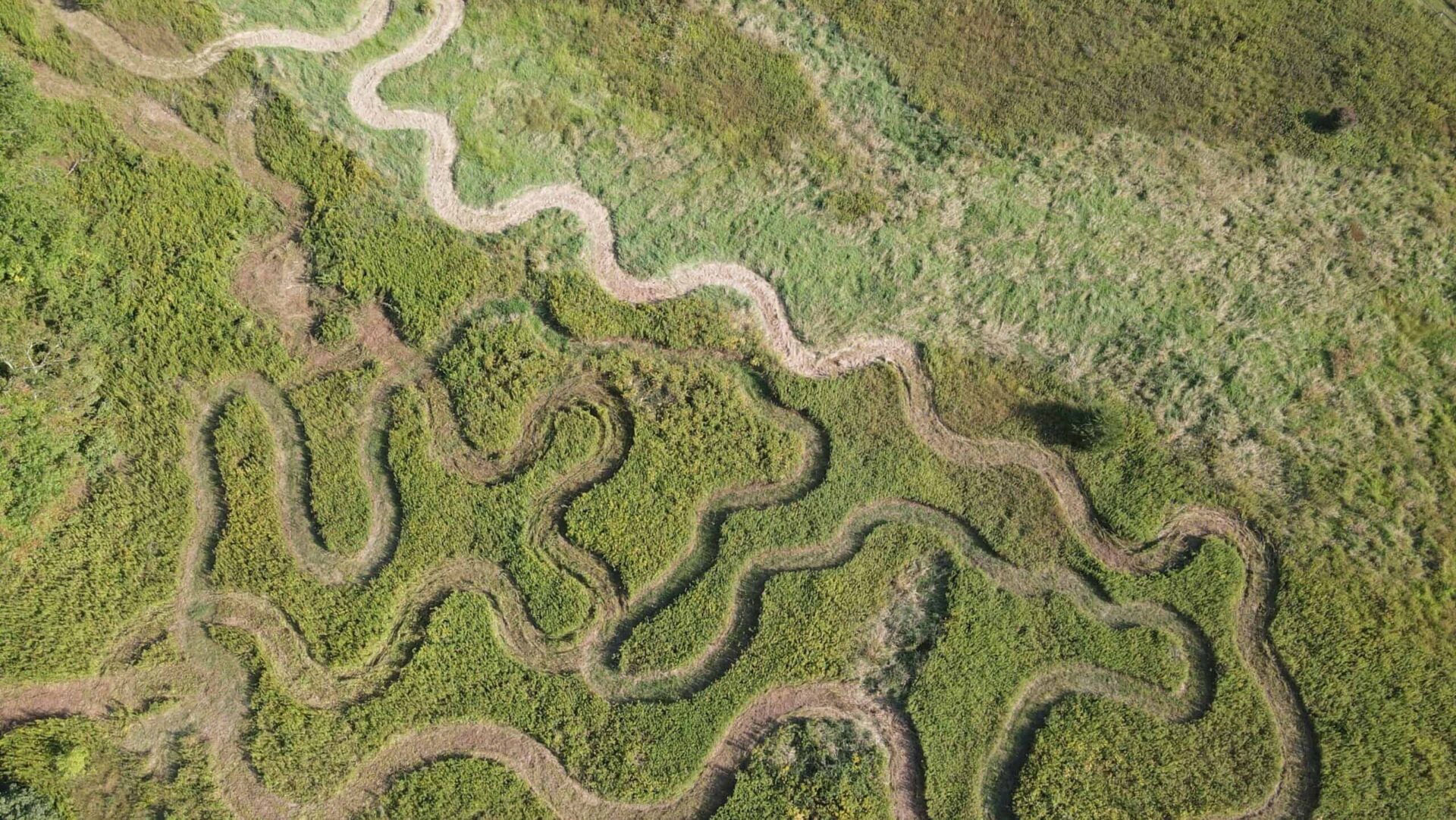 Squiggle Path Habitat Squiggles
