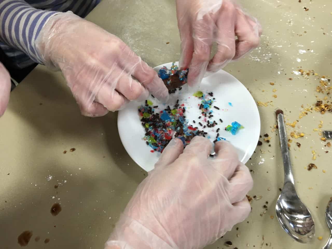 Replica animal scat made from chocolate and other ingredients