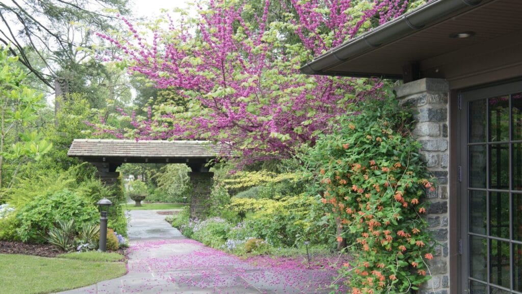 stone path leading through an archway and spring blooms everywhere