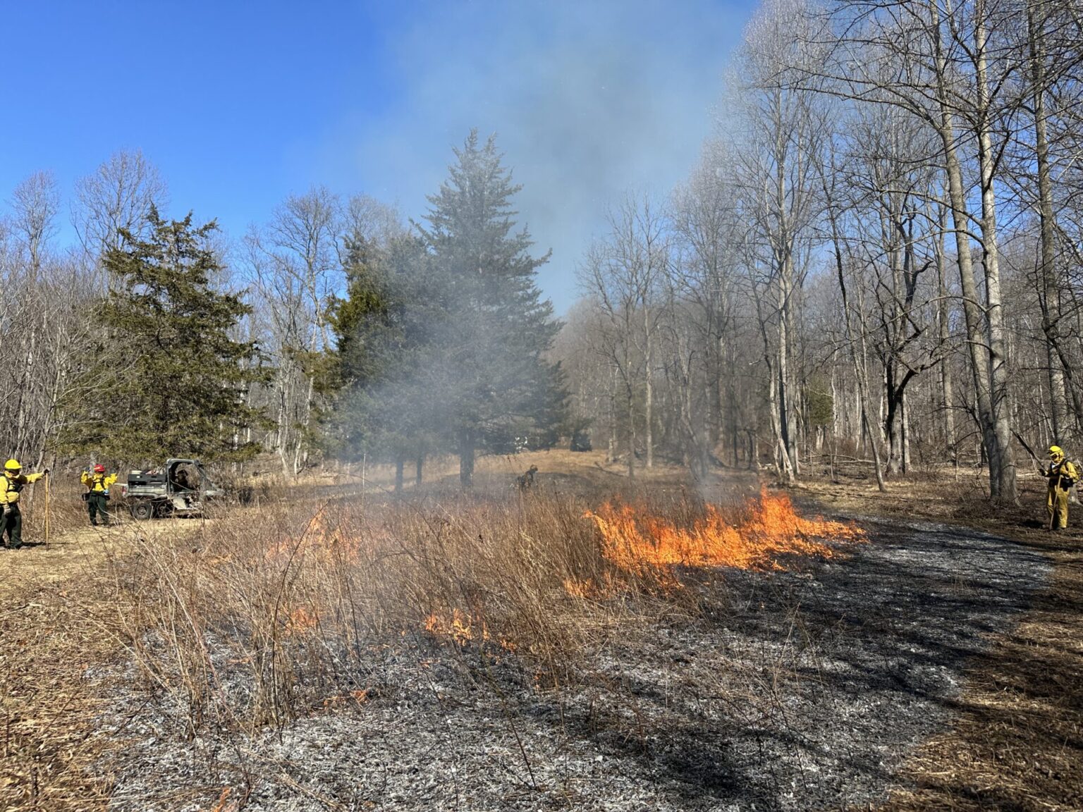 Prescribed Fire Improves Grassland Habitat