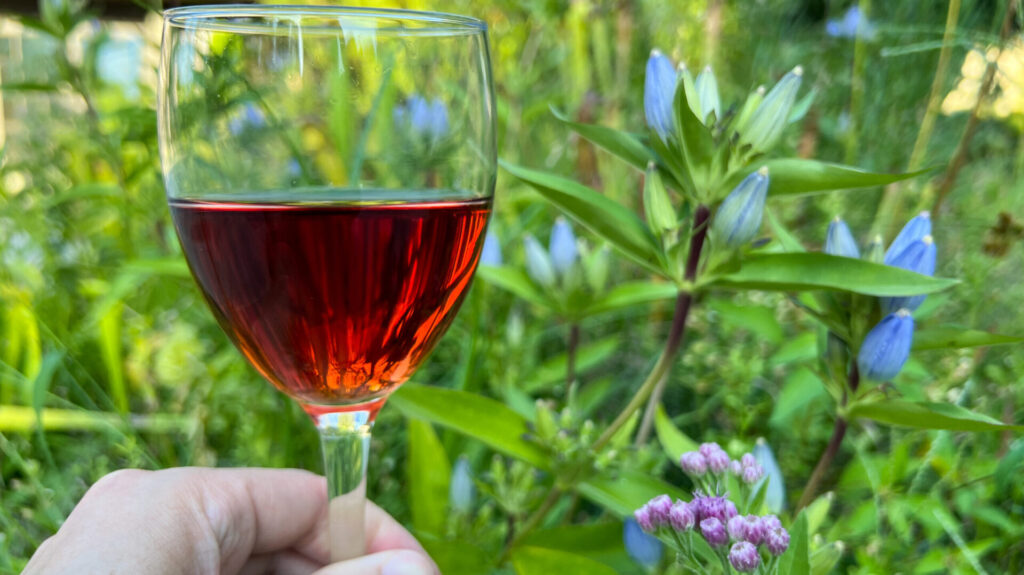 a glass of rose wine with a backdrop of Stoneleigh: a natural garden.