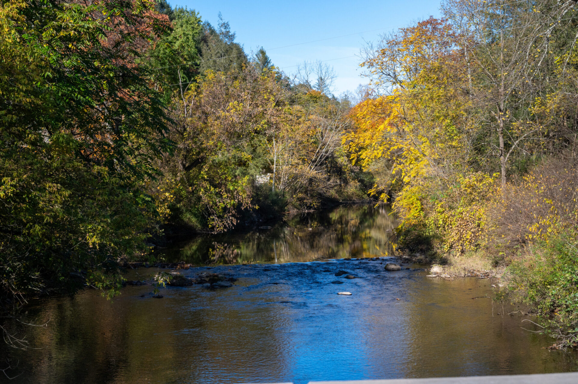 A stream on Ridge Farm with trees on either bank.