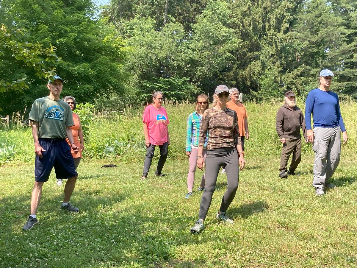 a group of people gathered on a sunny day in an open field standing doing tai chi poses