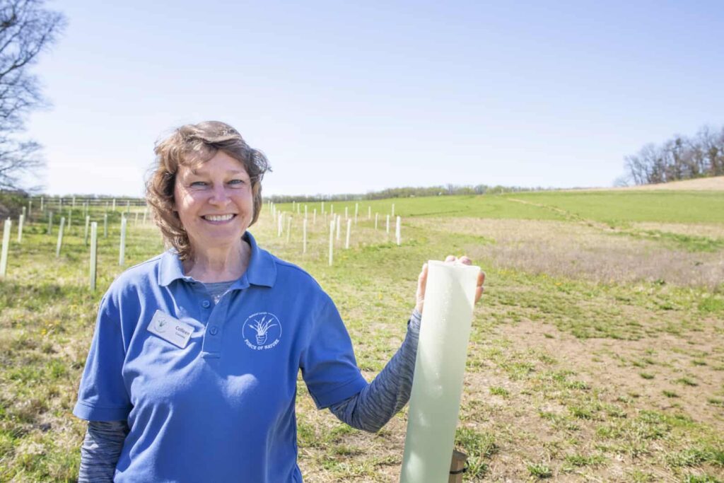 A volunteer in a blue Force of Nature shirt smiles at the camera, holding a tree tube in a large open space.