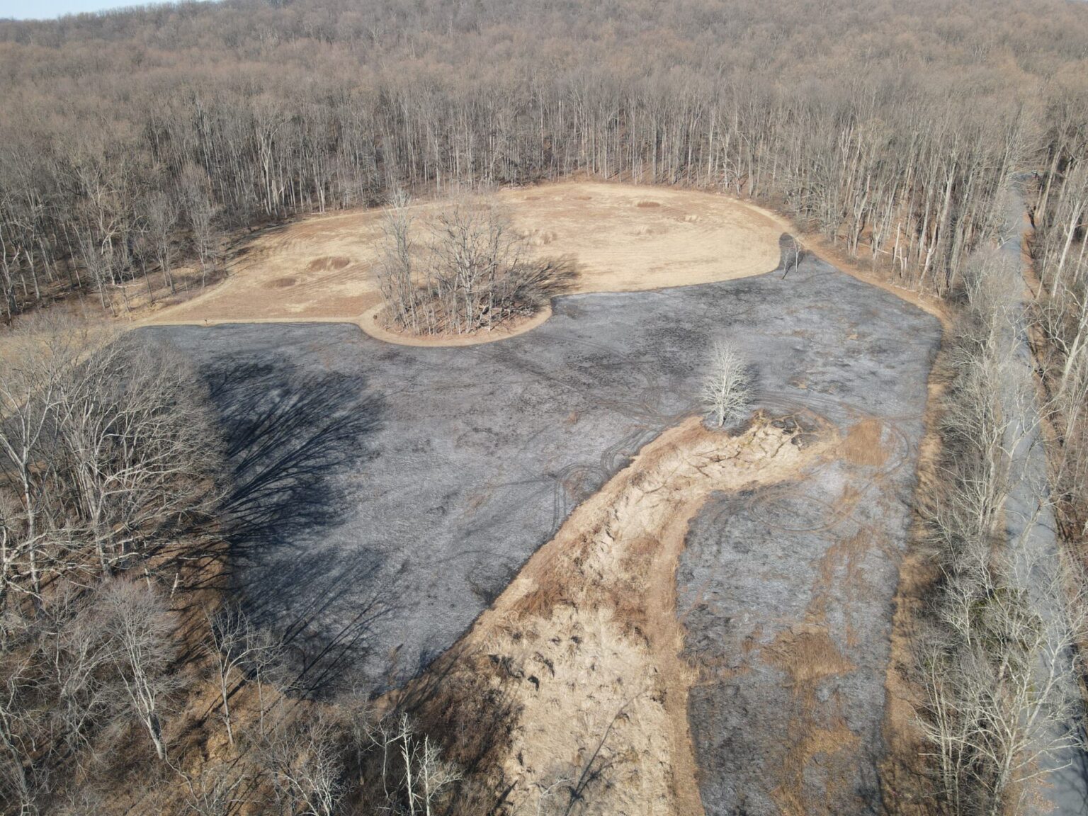Prescribed Fire Improves Grassland Habitat