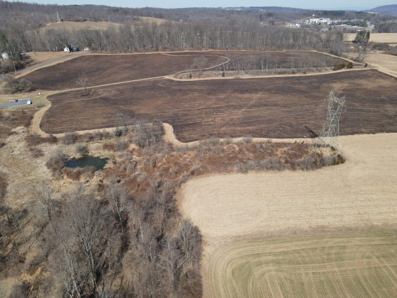 Prescribed Fire Improves Grassland Habitat