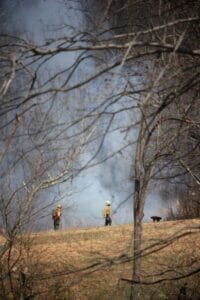 Two firefighters stand in a smoky meadow with trees in the foreground