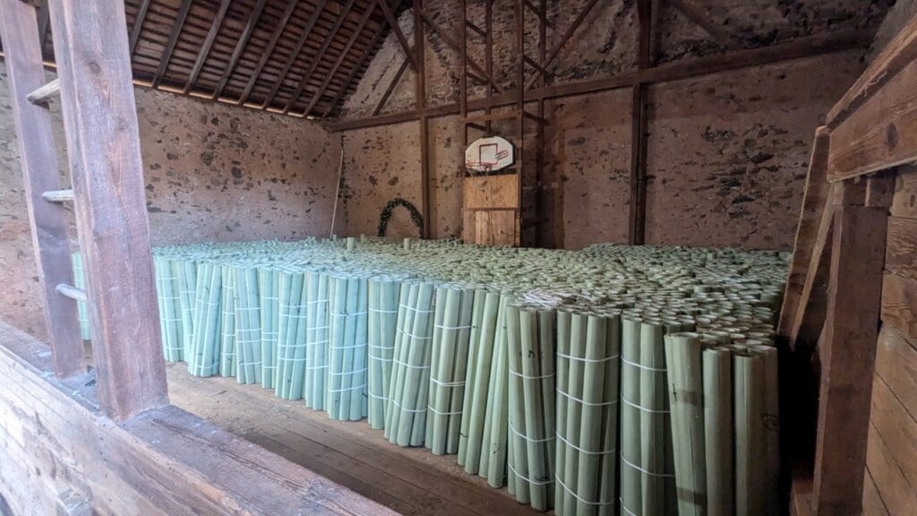 Thousands of light green plastic tree tubes stacked in a barn