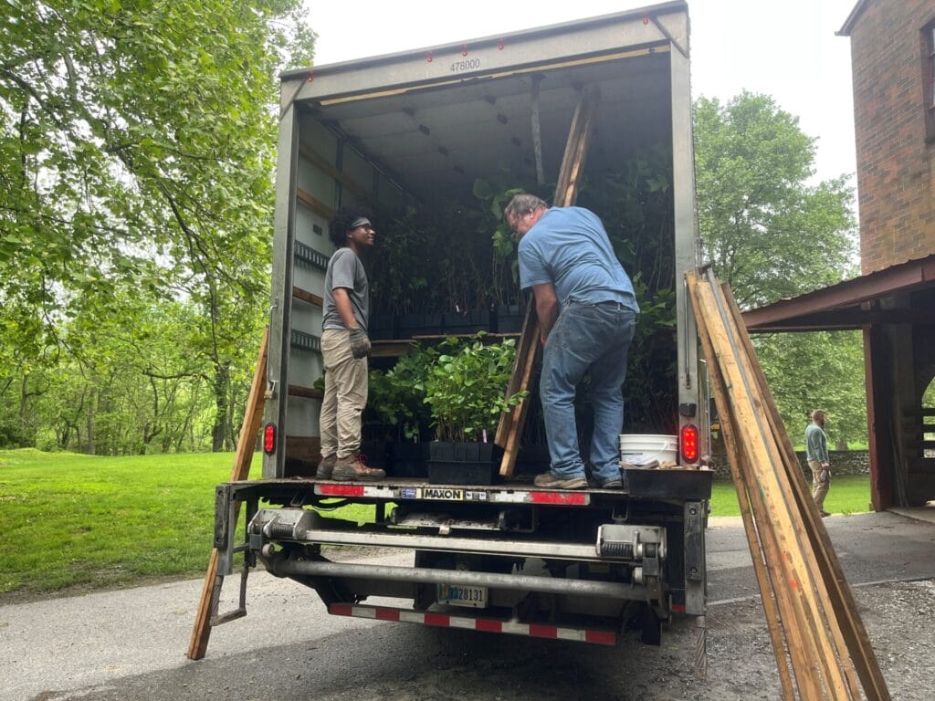 Two men load flats of tree seedlings into a truck.