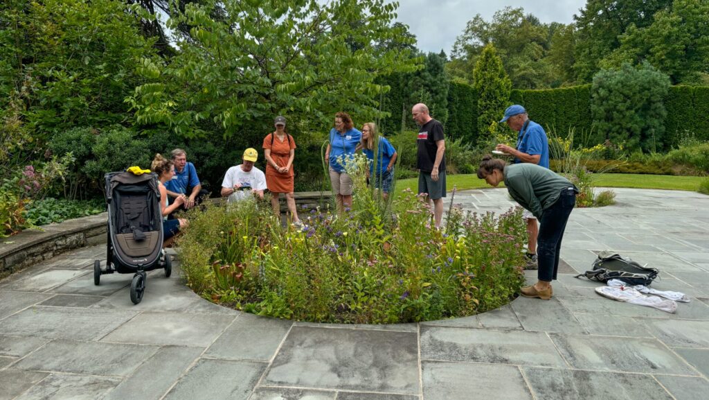 a group of people on a patio looking at a circular garden bed.