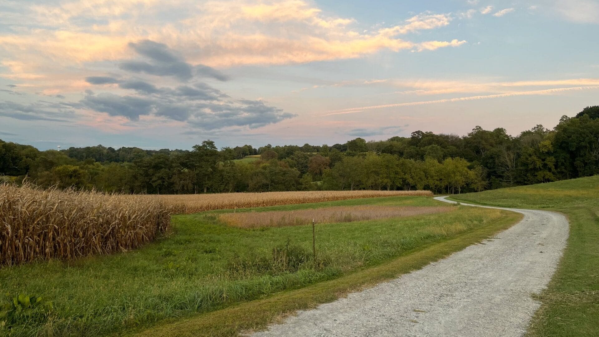 Blue sky with orange sunset highlights and a gravel path leading through an agricultural field with trees in the background.