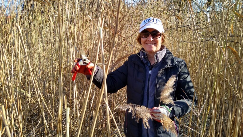 a smiling woman with sunglasses, hat, and coat pruning tall grasses