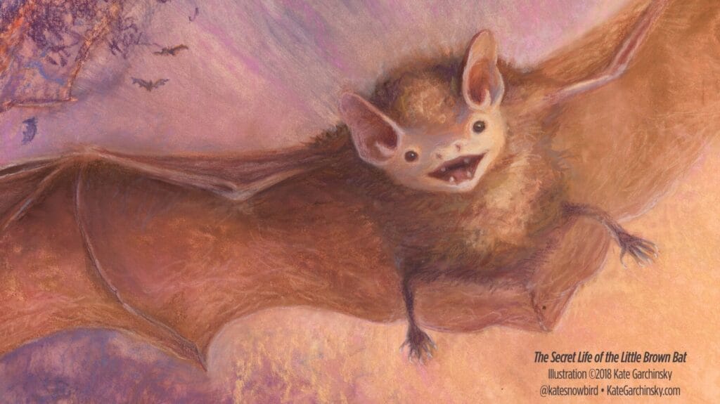 illustration of a smiling bat in flight