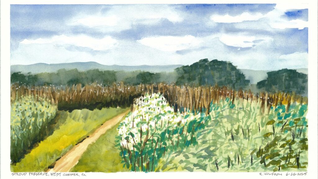 a watercolor painting of a field of white flowers, with a trail, trees and a blue sky