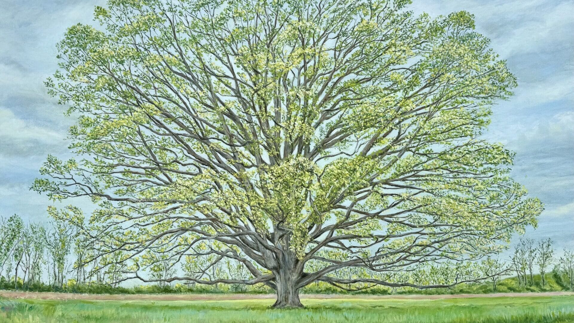 oil painting of a large oak tree with green leaves and a blue sky