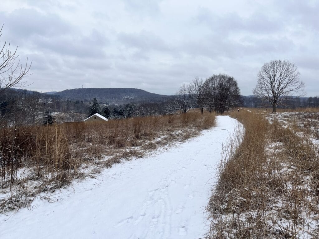 a snow-covered field with footprints cuts through a field on a cloudy day