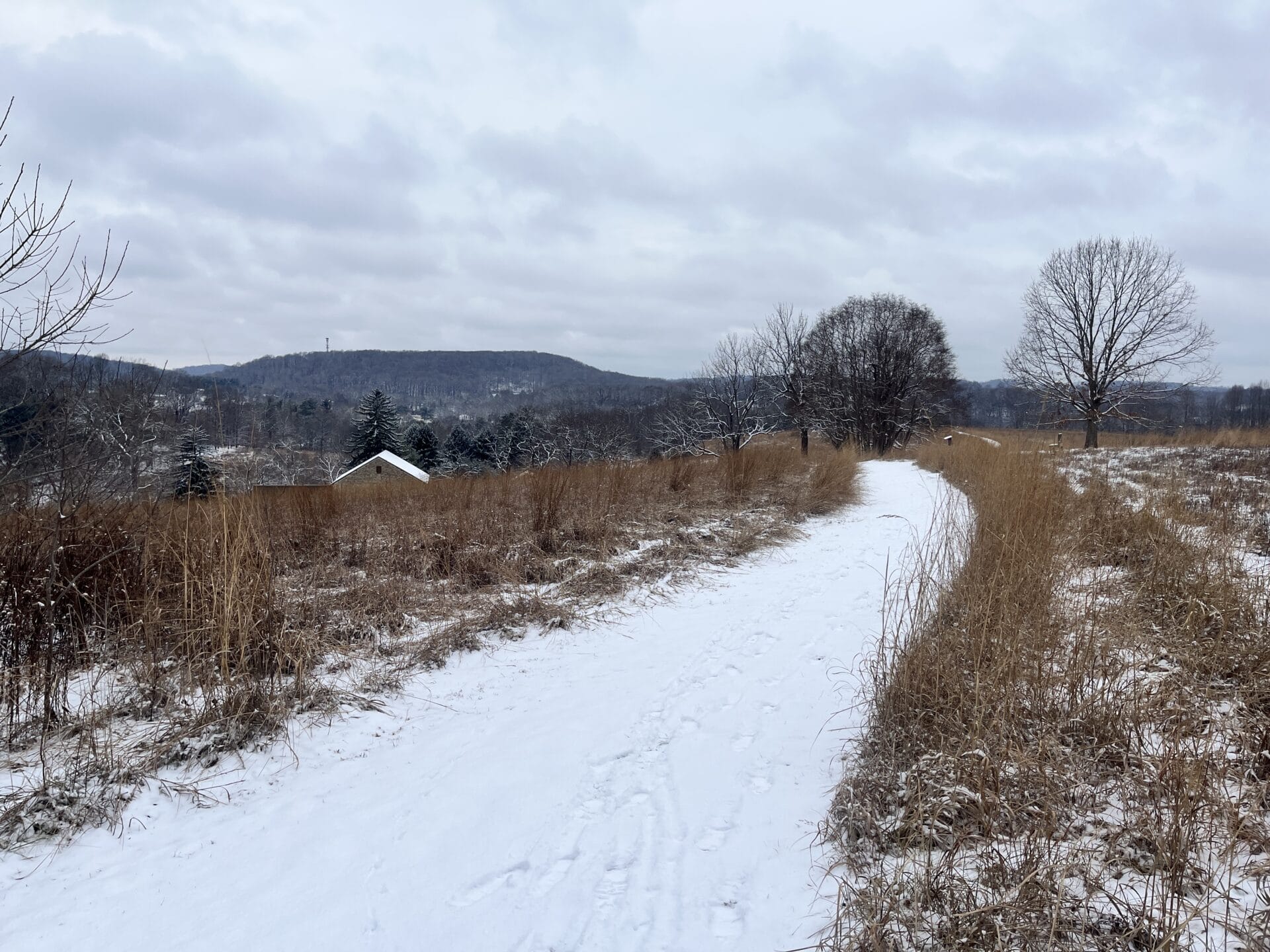 a snow-covered field with footprints cuts through a field on a cloudy day