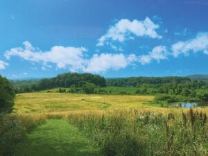 two people off in the distance walking on a grassy trail through a meadow in late summer