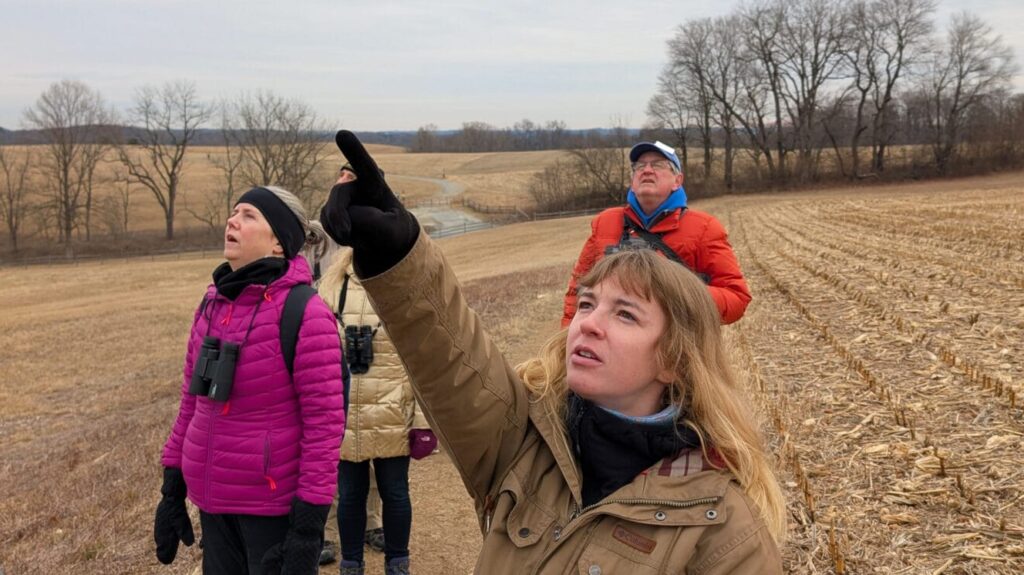 group of people pointing and looking up at the sky on a nature preserve in winter