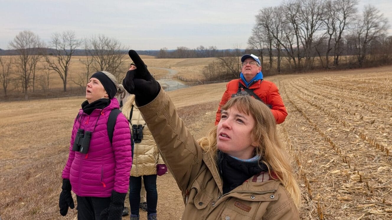 group of people pointing and looking up at the sky on a nature preserve in winter