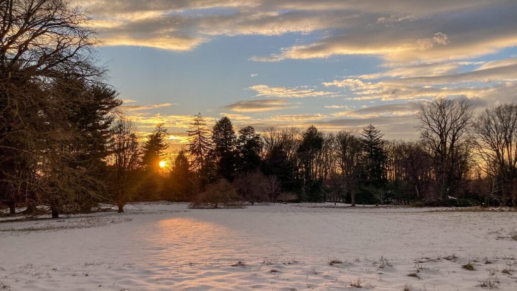 snowy meadow with trees in the background backlit by a setting sun in a cloudy sky