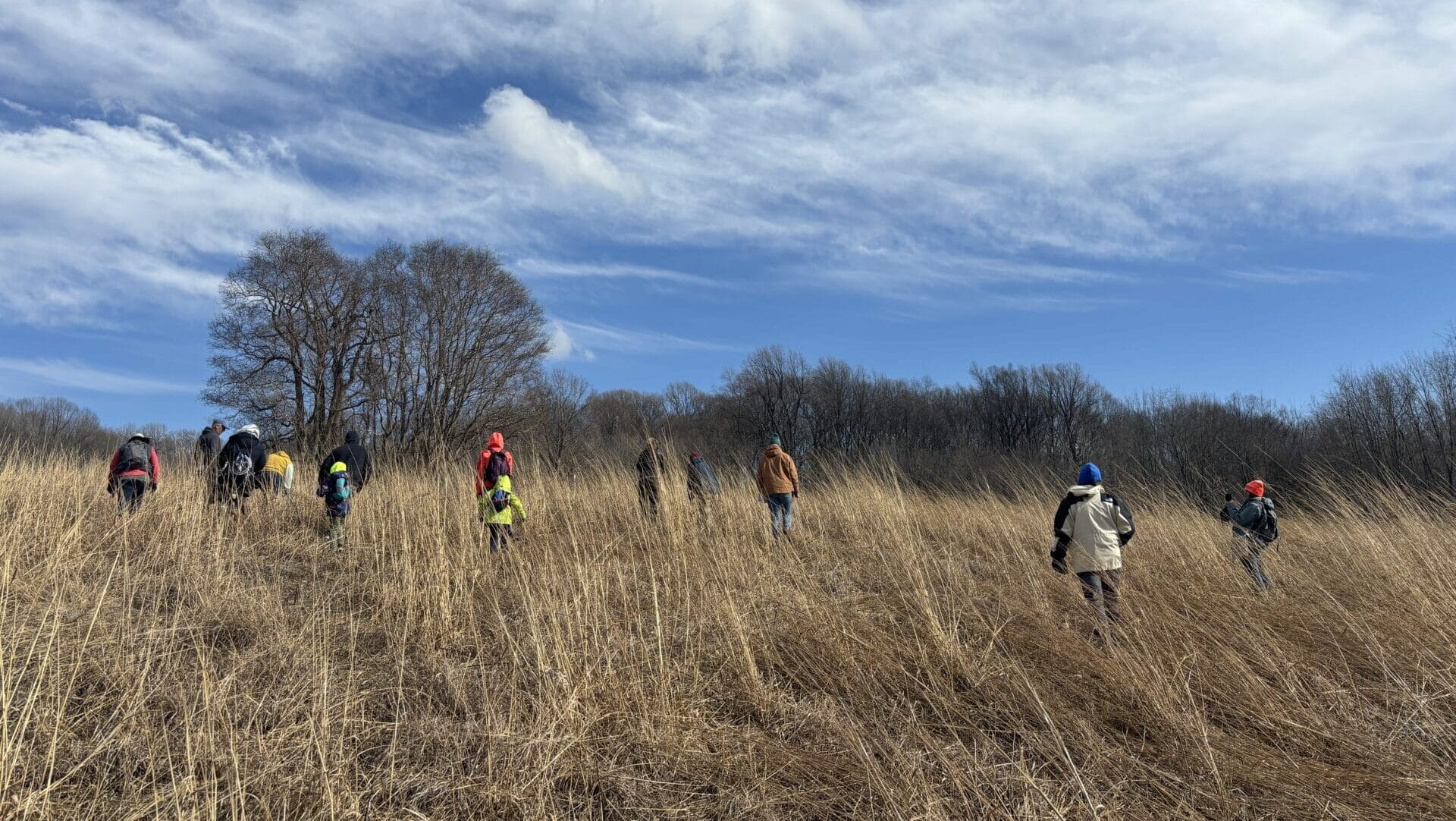 people walking in a meadow of tall grass with trees in the background and cloudy sky during winter
