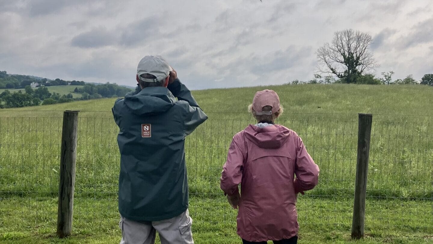 two people turned away from the camera standing in a green field looking off into the horizon