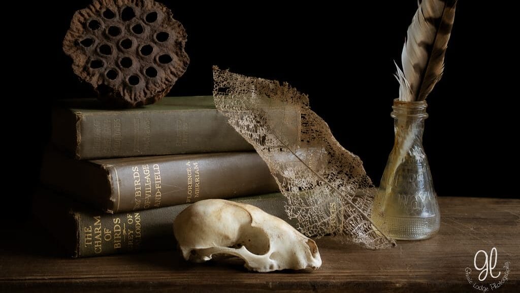still life photo of books, animal skull, flora, and a feather in a jar against a black background